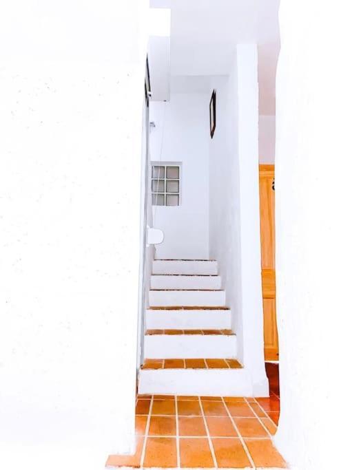 Casa Veronica 6 , 1 Dormitorio أرونا المظهر الخارجي الصورة